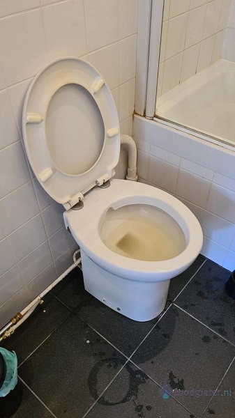  verstopping toilet Rhenen
